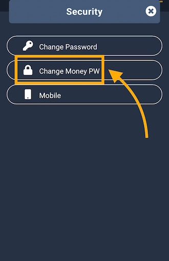 Step 2: go to the "Change Money PW" section